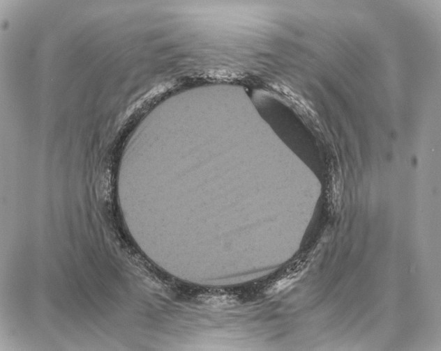 X0000087670689200706011629