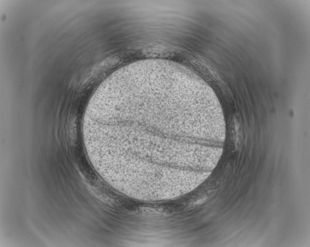 X0000087670690200706011629