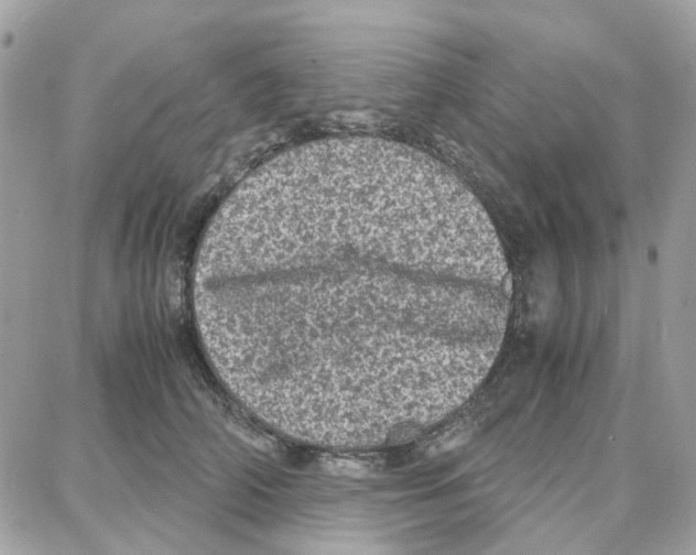 X0000087670706200706011629