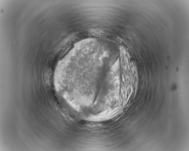 X0000087670712200706011629
