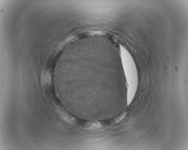 X0000087670715200706011629