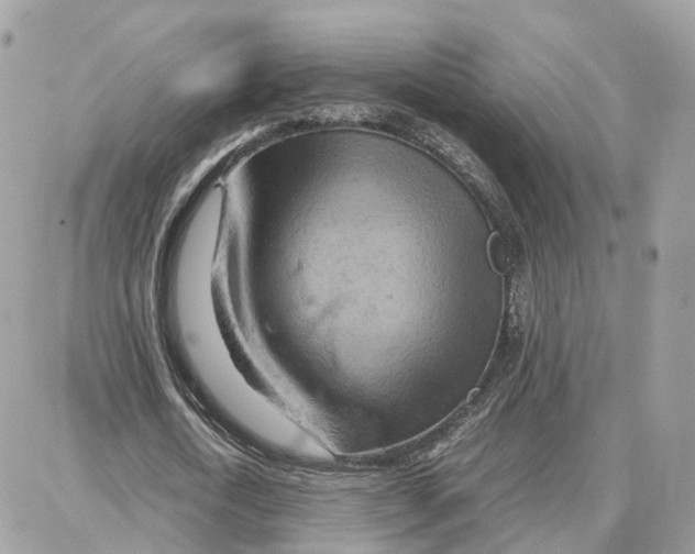 X0000087670722200706011628