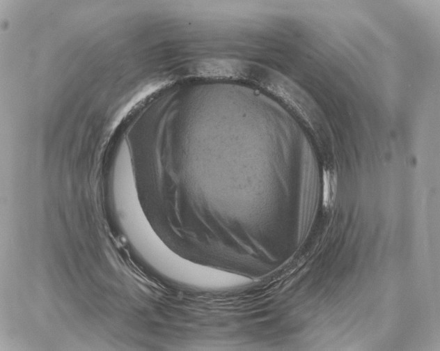 X0000087670723200706011628