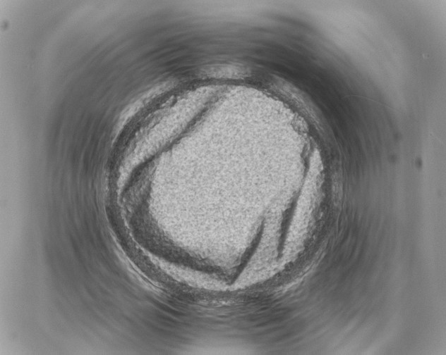 X0000087670725200706011628