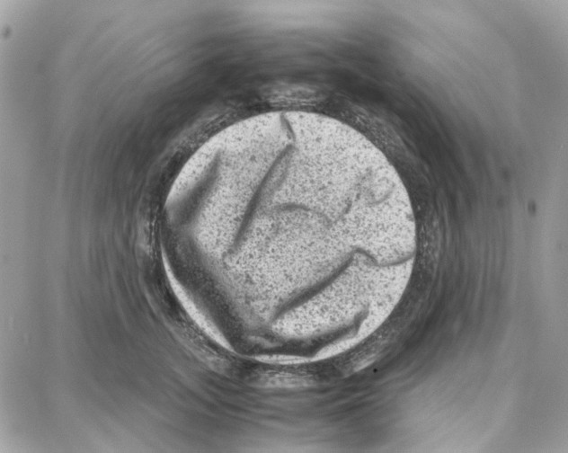 X0000087670755200706011629