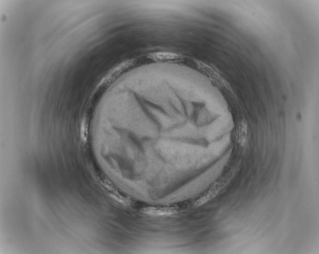 X0000087670763200706011629