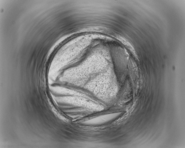 X0000087670792200706011628