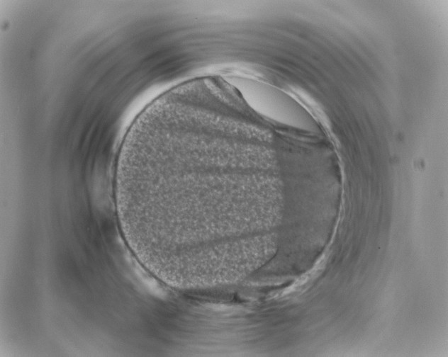 X0000087670816200706011627