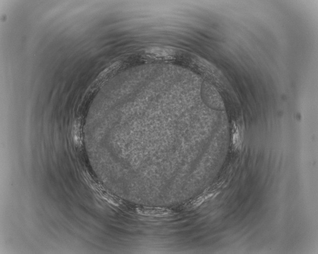 X0000087670819200706011627