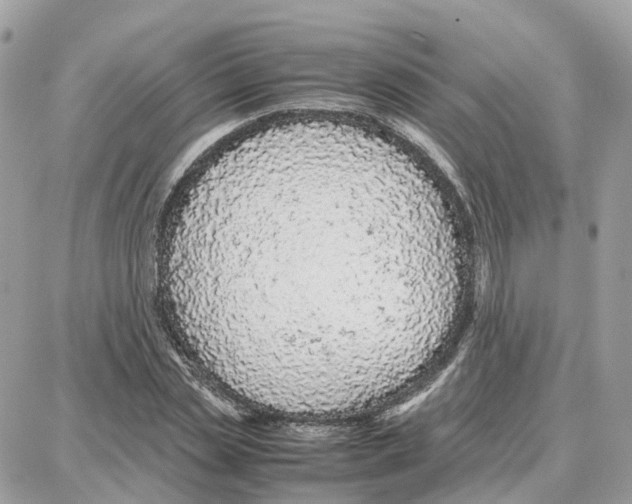 X0000087670829200706011627
