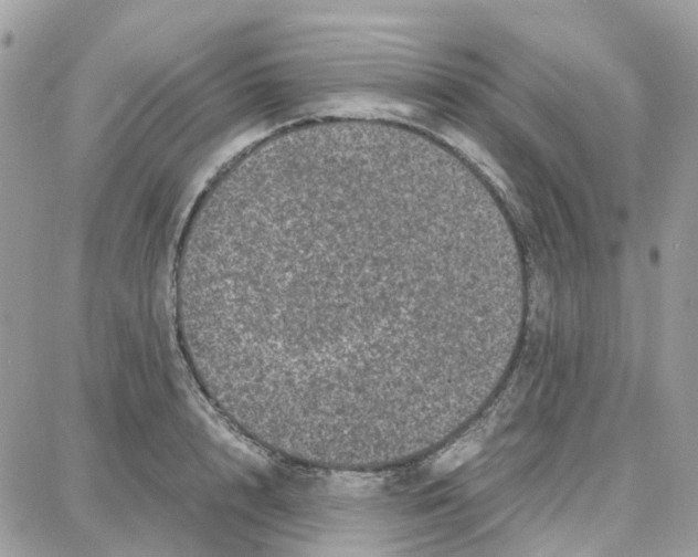 X0000087670848200706011627
