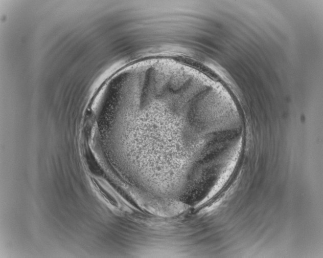 X0000087670850200706011627