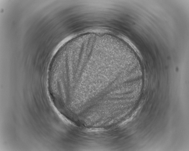 X0000087670853200706011627