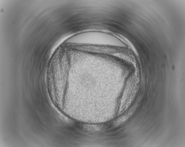 X0000087670855200706011627
