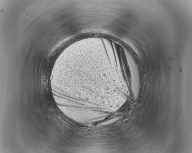 X0000087670872200706011626