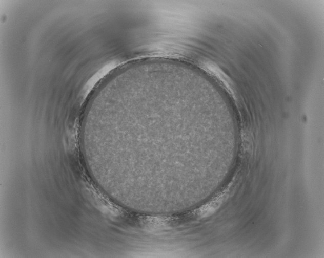 X0000087670875200706011626