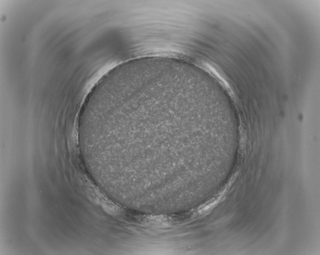 X0000087670883200706011626