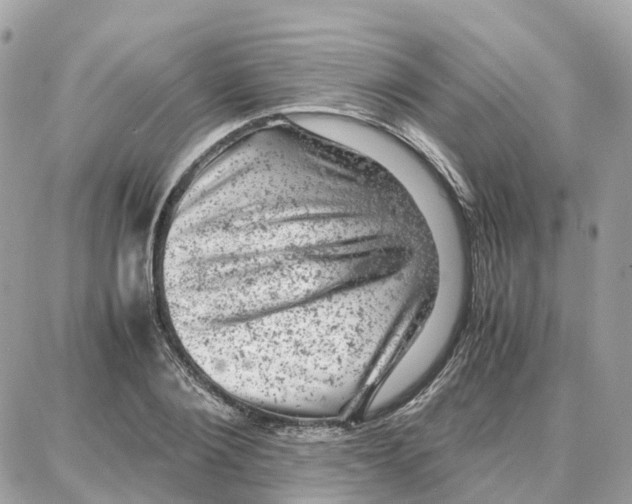 X0000087670884200706011626