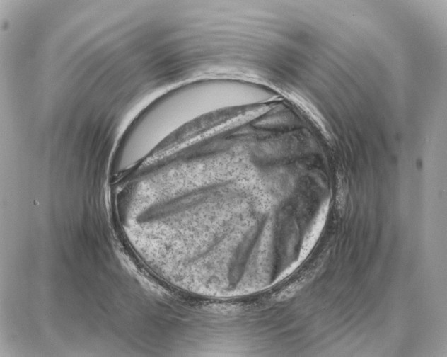 X0000087670888200706011626