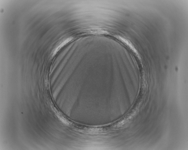 X0000087670889200706011626