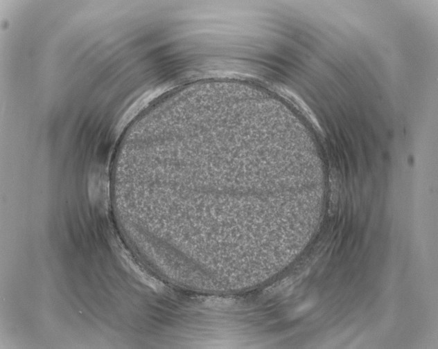 X0000087670890200706011626