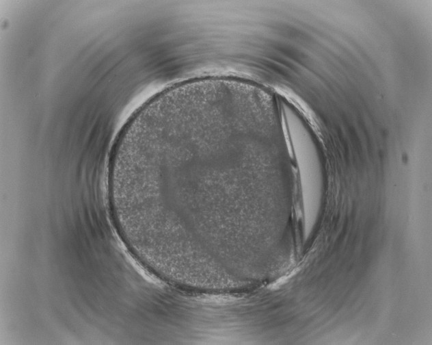 X0000087670894200706011626