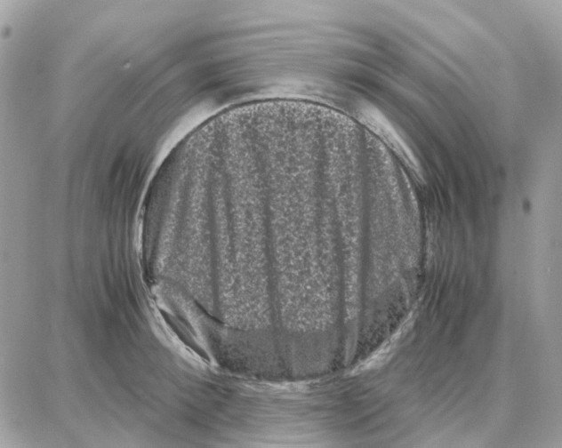 X0000087670900200706011626