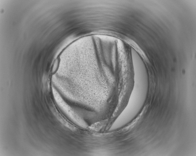 X0000087670908200706011626