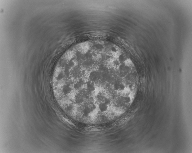 X0000087670913200706011625