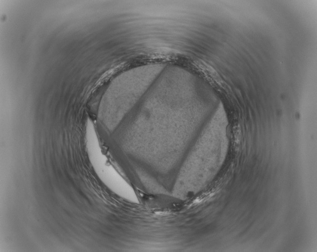 X0000087670916200706011625