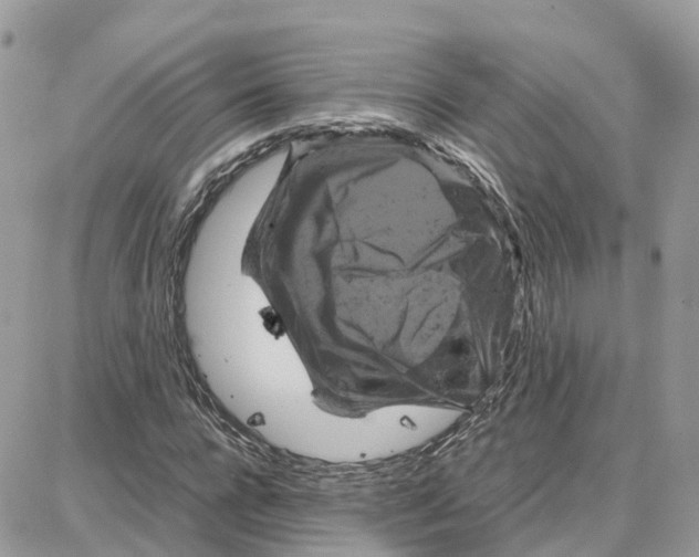 X0000087670920200706011625