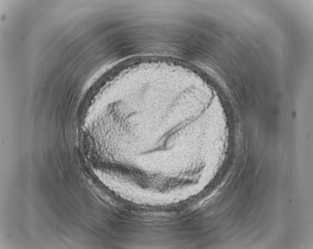 X0000087670925200706011625