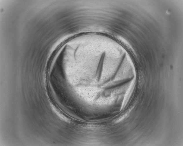 X0000087670942200706011625