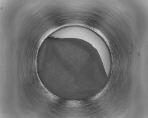 X0000087670943200706011625