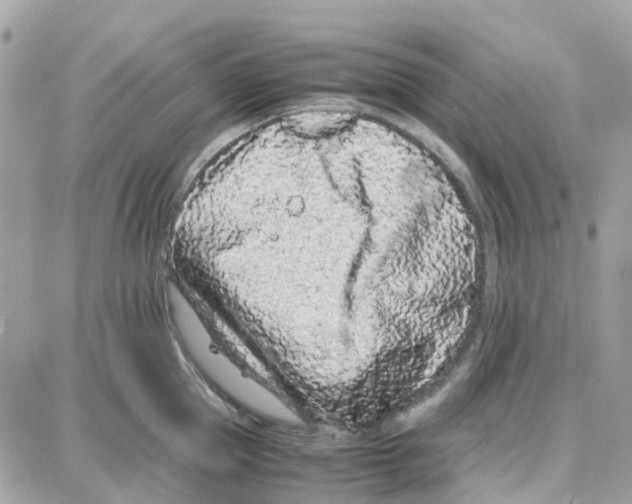 X0000087670953200706011626