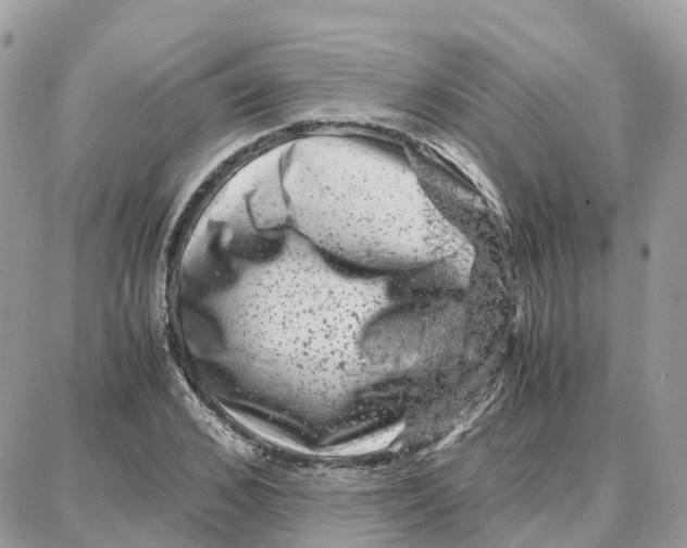 X0000087670976200706011625