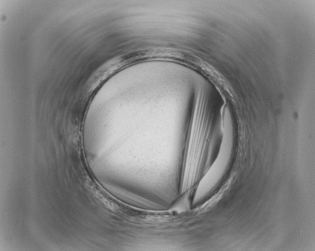 X0000087670985200706011625