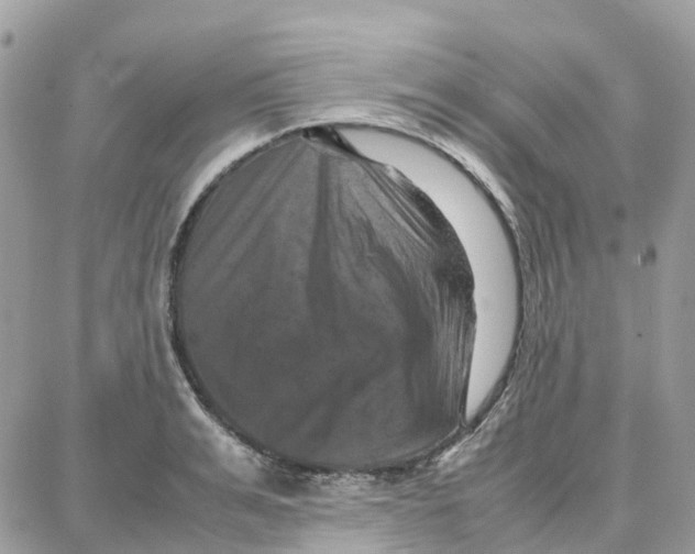 X0000087670991200706011624