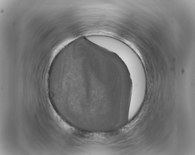 X0000087670995200706011624
