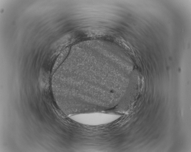 X0000087671012200706011623