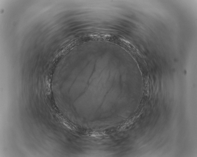 X0000087671013200706011623