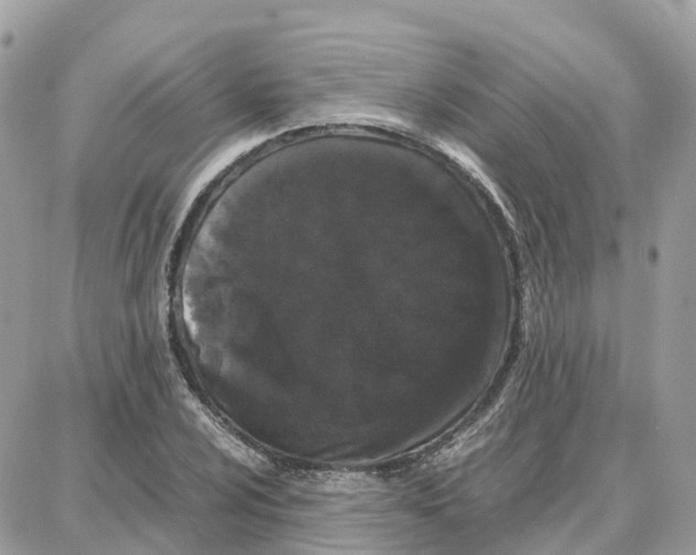 X0000087671024200706011624