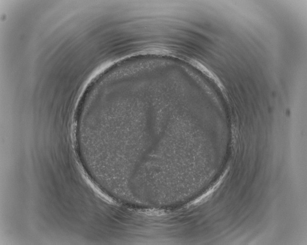 X0000087671029200706011624