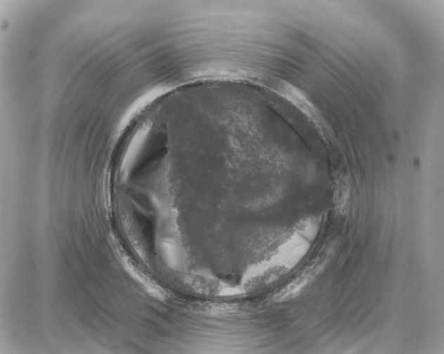 X0000087671030200706011624