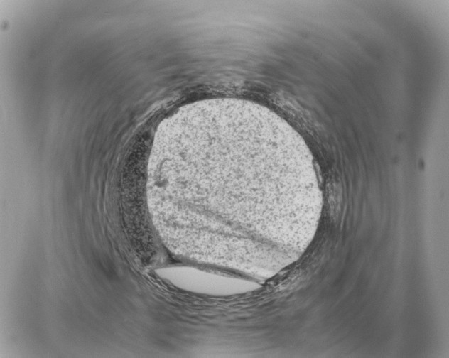 X0000087671057200706011623