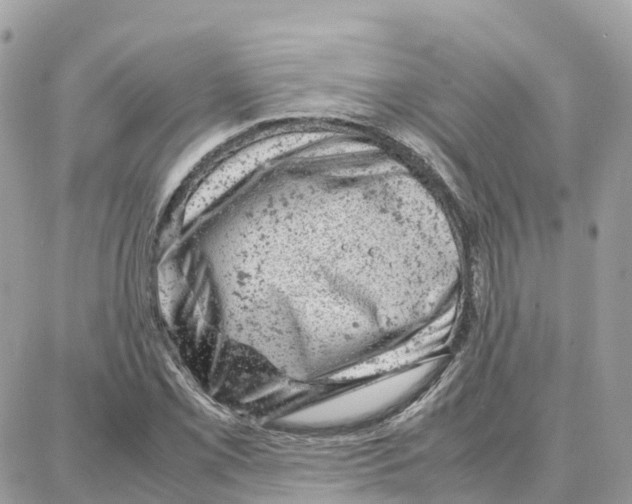 X0000087671069200706011623