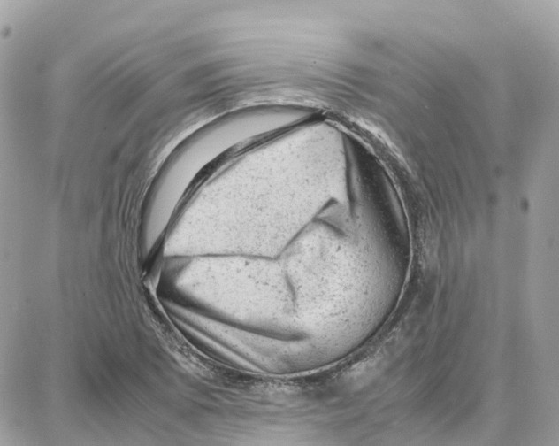 X0000087671073200706011623
