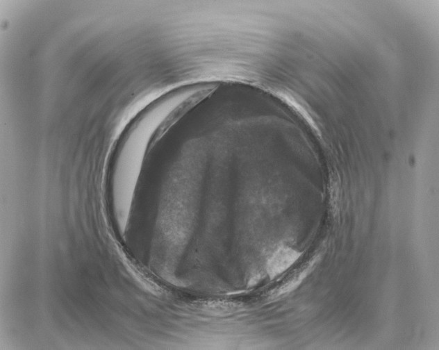 X0000087671077200706011623