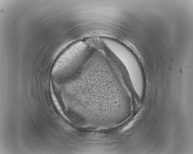 X0000087671081200706011623