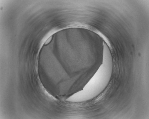 X0000087671102200706011623